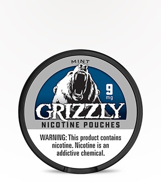 Grizzly Pouches Mint 9 mg 15 pouches