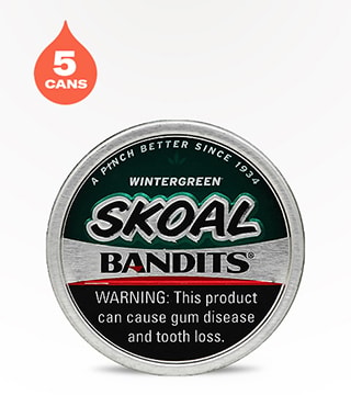 Skoal Bandits Pouches Wintergreen 5 pack 20 pouches