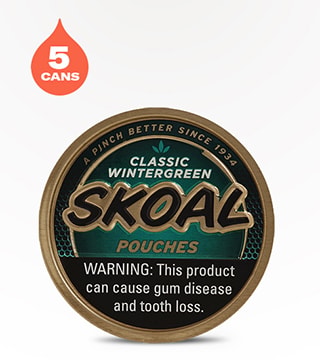 Skoal Pouches Wintergreen 5 pack 20 pouches