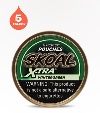 Skoal X-tra Pouches Wintergreen 5 pack 20 pouches