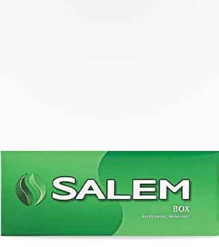 Salem Menthol carton