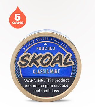 Skoal Pouches Mint 5 pack 20 pouches