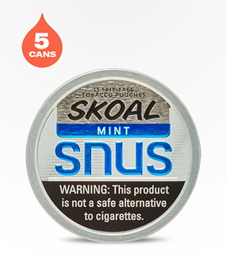 Skoal Snus Mint 5 pack 0.6 oz