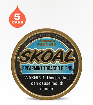 Skoal Pouches Spearmint 5 pack 20 pouches