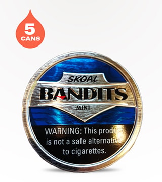Skoal Bandits Pouches Mint 5 pack 20 pouches