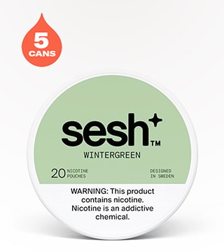 Sesh+ Wintergreen 4 mg 5 pack 20 pouches