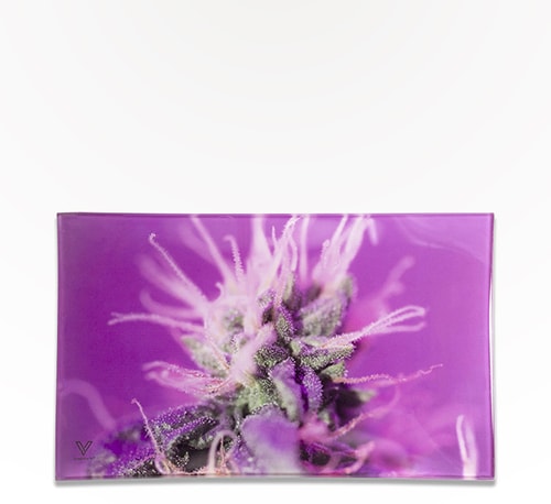 V Syndicate Glass Tray Pink Lemonade (Medium) Single